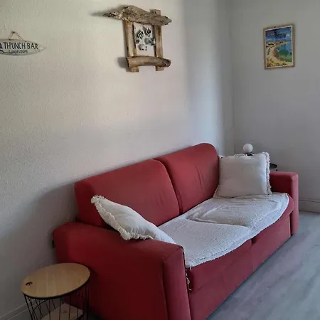 Apartament T2 Avec Loggia - Port Malfato - Renove Et Lumineux Agde